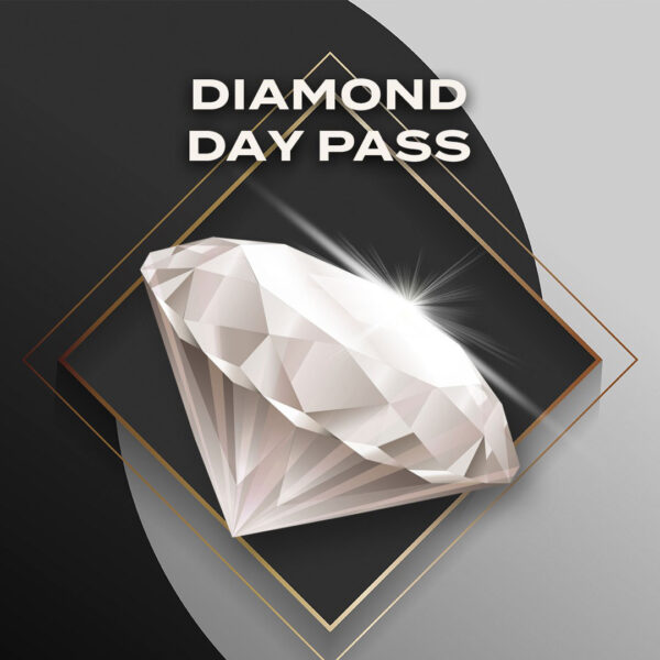 Day Pass-Diamond