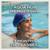 Aqua Hub Packages 3Months 12 Class